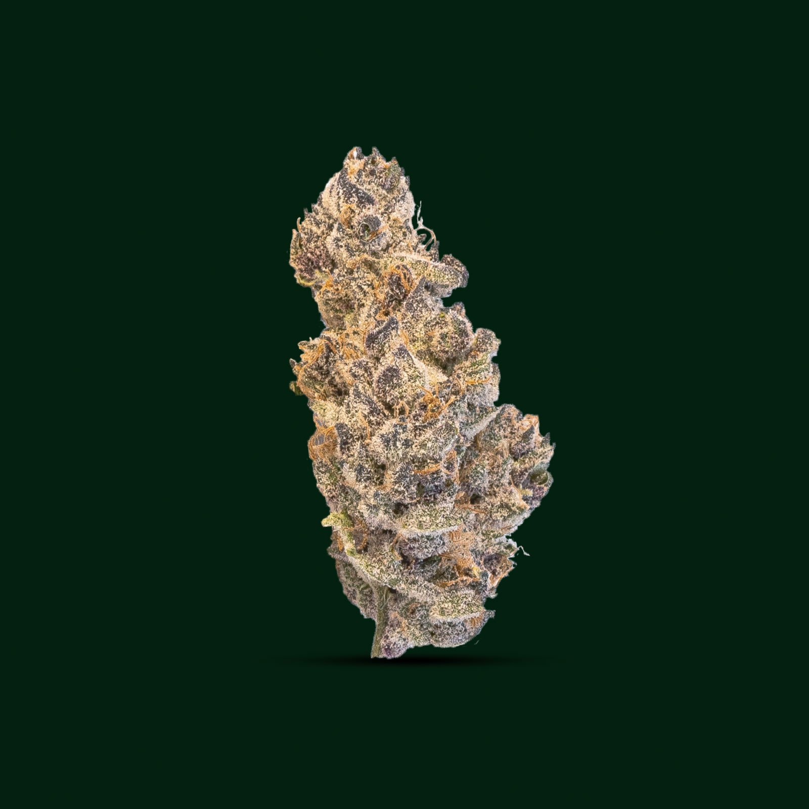 BUD_PineappleTruffle_Flowers_1600x1600