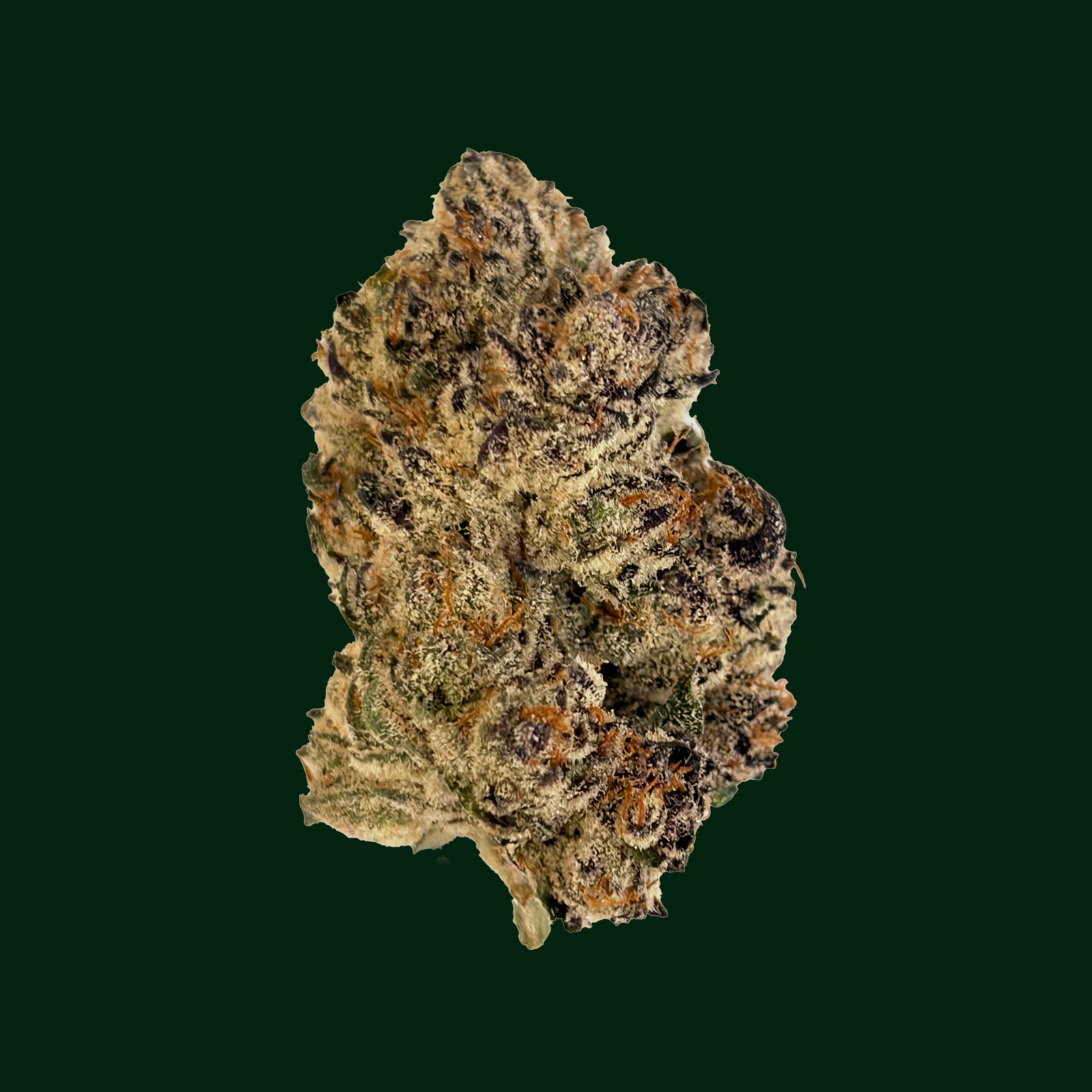 Blue Pave -bud