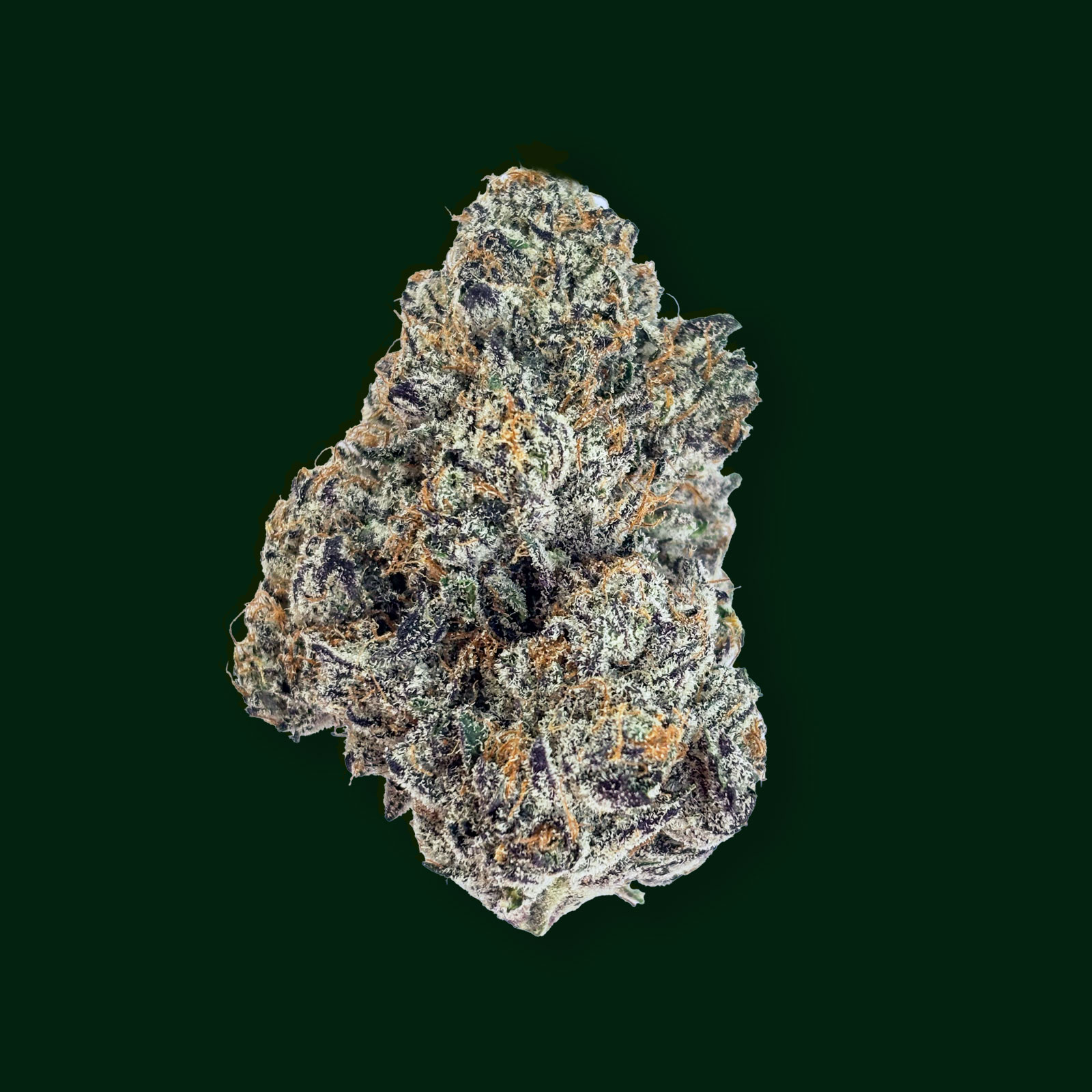 Frosted Fruit Cake - bud
