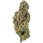 Cookie Dough Bud
