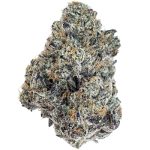 Frosted Fruite Cake - bud