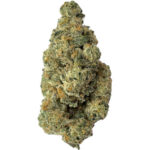 SuckerPunch bud